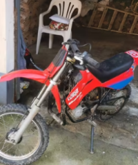 Beta Minicross - 2019